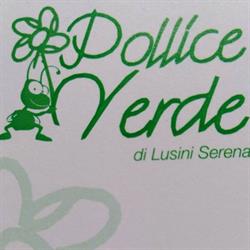 Pollice Verde Lusini Serena, Castiglion Fibocchi orari di apertura