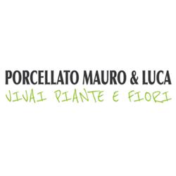 Vivaio Piante e Fiori Porcellato, Loria orari di apertura