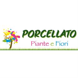 Porcellato Piante e Fiori di Porcellato Piergiorgio & C. Riese Pio X, Vallà - Orari di apertura