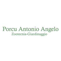 Porcu Antonio Angelo, Ghilarza orari di apertura