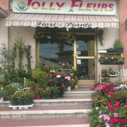 Fiorista Jolly Fleurs, Castiglione del Lago orari di apertura
