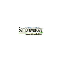 Sempreverde, Gassino Torinese orari di apertura