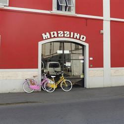 MAZZINO di GRACCI CARLA sas, Empoli orari di apertura