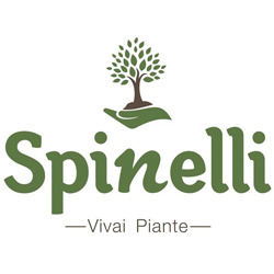 Spinelli Vivai Piante, Sammichele di Bari orari di apertura