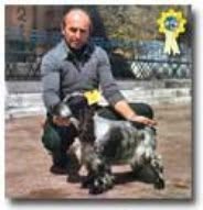 ALLEVAMENTO DELLA PIOPPA di MARANGONI PRIMO, Bagnacavallo orari di apertura