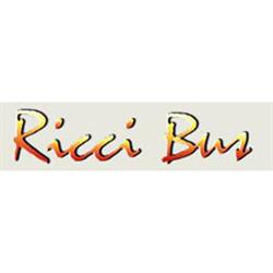 Ricci Bus, Siena orari di apertura