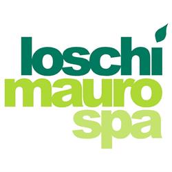 Loschi Mauro Spa, Soliera orari di apertura