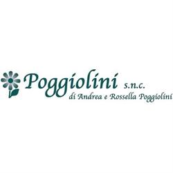 Poggiolini, Firenze orari di apertura
