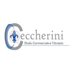 Centro contabile Ceccherini & Partners, Figline e Incisa Valdarno orari di apertura