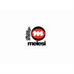 Officine Ambrogio Melesi & C. Srl - Head Quarter, Cortenova orari di apertura