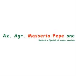 Azienda Agricola Masseria Pepe S.n.c, Mola di Bari orari di apertura