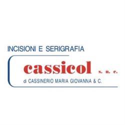CASSICOL snc di CASSINERIO VALERIO & C., Busto Arsizio orari di apertura