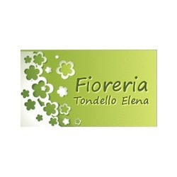 Fioreria Tondello Elena, Palazzolo dello Stella orari di apertura