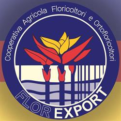 Cooperativa Agricola Flor Export, Viareggio orari di apertura