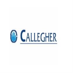 Callegher Sanificazione Ambientale, Torino orari di apertura