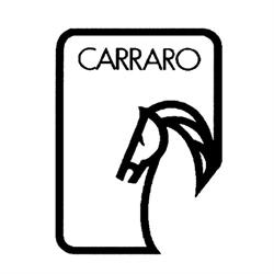 Carraro SRL, Paruzzaro orari di apertura