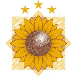 Hotel Girasole SAS Di Ruocco Antonino C., Sorrento orari di apertura