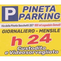 Pineta Parking di Emanuele Lombardi, Roma orari di apertura