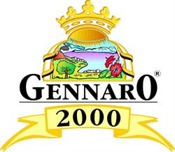 GENNARO 2000 di MAURO MANSI & C. snc, Vittorio Veneto orari di apertura
