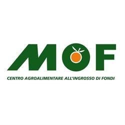 M.o.f. SPA, Fondi orari di apertura