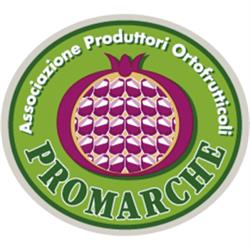 Promarche, San Benedetto del Tronto orari di apertura