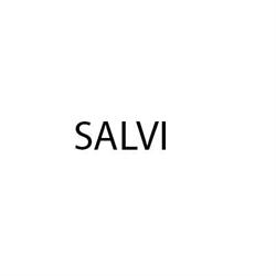 DSFOODSERVICE SALVI di SALVI Paolo e c sas, Vado Ligure orari di apertura