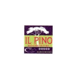 Agriturismo Il Pino Bioagricoltura, Campogialli orari di apertura