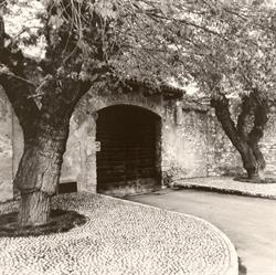 Az.agr.Le Chiusure, San Felice del Benaco orari di apertura
