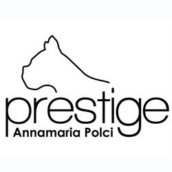 Prestige Boutique, Arezzo orari di apertura