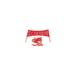 Schenone Sport Articoli Sportivi, Torino orari di apertura