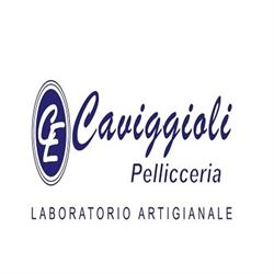 Pellicceria Caviggioli, Novara orari di apertura
