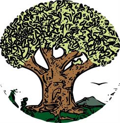 Artimestieri, Boves orari di apertura