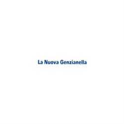 Ortopedia La Nuova Genzianella, Merate orari di apertura