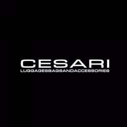 Cesari Pelletteria, Parma orari di apertura