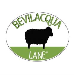 Bevilacqua Lane Srl, Arzignano orari di apertura