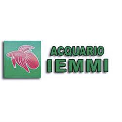 Iemmi Ermanno - Allevamento Pesci Tropicali, Modena orari di apertura