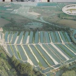 Troticoltura Santa Cristina, Quinto di Treviso orari di apertura