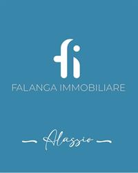 Falanga Immobiliare, Alassio orari di apertura