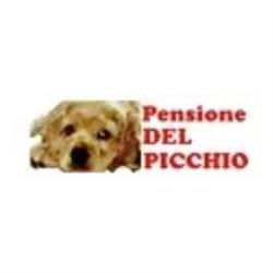 Allevamento e Pensione del Picchio Bastia Umbra, Costano - Orari di apertura