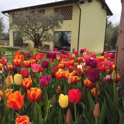 Agriturismo Bitturelli, Ponti sul Mincio orari di apertura