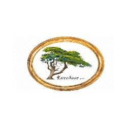 Lucchese S.r.l., Minerbe orari di apertura