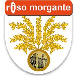 Riso Morgante Riseria Aedì, Lenta orari di apertura
