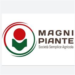 Magni Piante, Pistoia orari di apertura