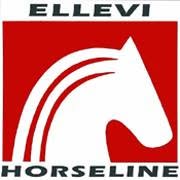 Ellevi, Campegine orari di apertura