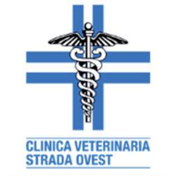 Clinica Veterinaria Strada Ovest, Treviso orari di apertura
