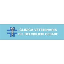 Clinica Veterinaria Belviglieri Dr. Cesare, Verona orari di apertura