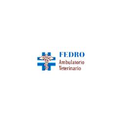Ambulatorio Veterinario Fedro Dr.ssa Germinario Mirella, Molfetta orari di apertura