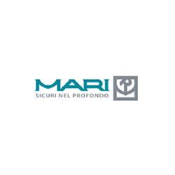 Ing. Mari e C. Srl, Cremona orari di apertura