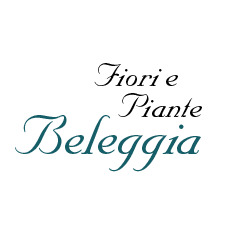 Beleggia Elisa Fiori e Piante, Montegiorgio orari di apertura