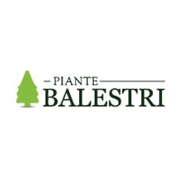 Balestri Piante Vivai Garden, Montevarchi orari di apertura